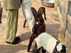 -水上乐园·欢乐世界