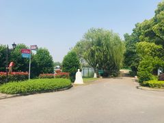 -太阳岛度假酒店