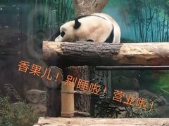 -杭州动物园