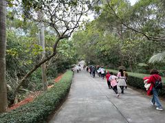 -广东惠东海龟国家级自然保护区