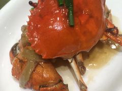 葱姜焗膏蟹-顺风海鲜港(金玉兰店)