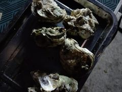 -喜洲吧·江畔老船厂·庭院餐厅(喜临院店)