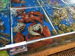 -四川人郑霞海鲜