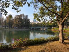 -四海公园(南山区)