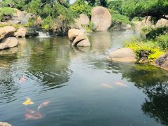 -罗红摄影艺术馆