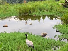 -普洱太阳河森林公园
