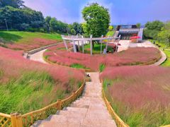 -牛岗山公园