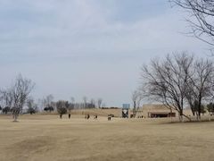 -盘龙城国家考古遗址公园