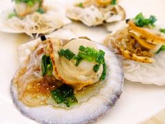 扇贝-海岛渔村大酒店(云霄路店)