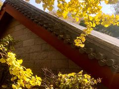 -青岛崂山太清宫