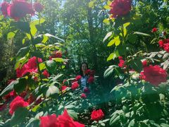 -春晖园度假酒店温泉