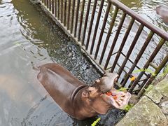 -海南热带野生动植物园