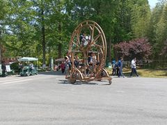 -黄海国家森林公园