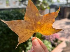 -金谷仓家庭料理(马泉营店)