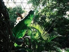 -上海辰山植物园