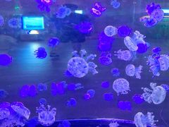 -西安华夏文旅水世界