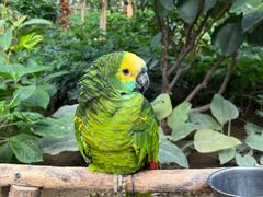 -南宫五洲植物乐园