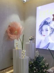 -深圳鹏爱秀琪医疗美容医院