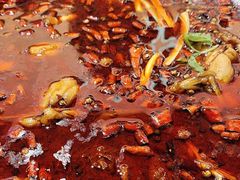 -蛙老爹·蜀香美蛙鱼头(王家湾店)