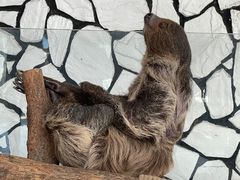-海合安武汉极地海洋公园