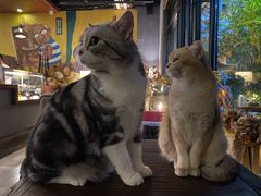 -咖法森林·咖啡  酒吧(天河店)