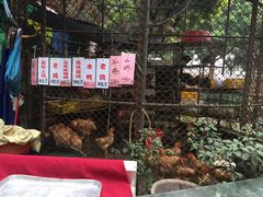 -荔城生鲜盛宴(番禺旗舰店)