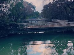 -上海佘山国家森林公园西佘山园