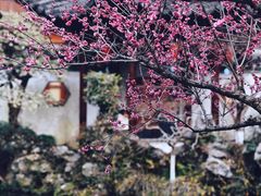 -郭庄景区
