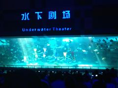 -泉城欧乐堡海洋极地世界