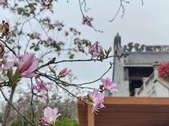 -香山湖公园