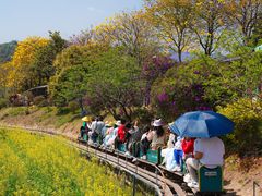 -红山村