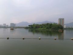 -飞来湖湿地公园