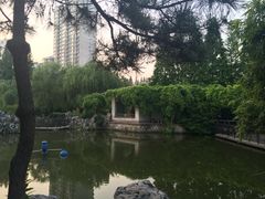-郑和公园