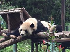 -昆明动物园