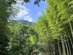 -黄公望隐居地