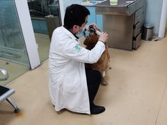-瑞派·关忠动物医院·猫专科·犬专科(三环新城店)