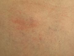 -桔子酒店(天津五大道店)