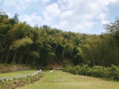 -宁波浙东大竹海景区