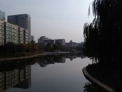 -雁滩公园