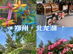 -北龙湖湿地公园