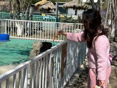 -水上乐园·欢乐世界