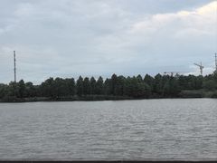 -九科绿洲