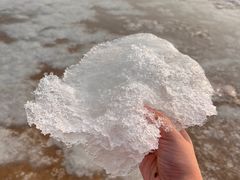-天津东疆湾沙滩景区