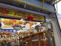 -大澳渔村及棚屋