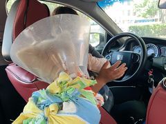 -北京赛佳动物医院