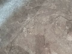 -天鹅到家·保姆月嫂育儿嫂(天河店)