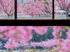 -新江湾城公园