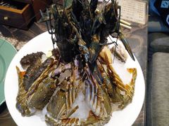 -越绣灶·自助餐(义乌香格里拉大酒店)