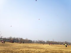 -西安浐灞国家湿地公园