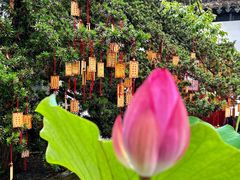 -东山雕花楼